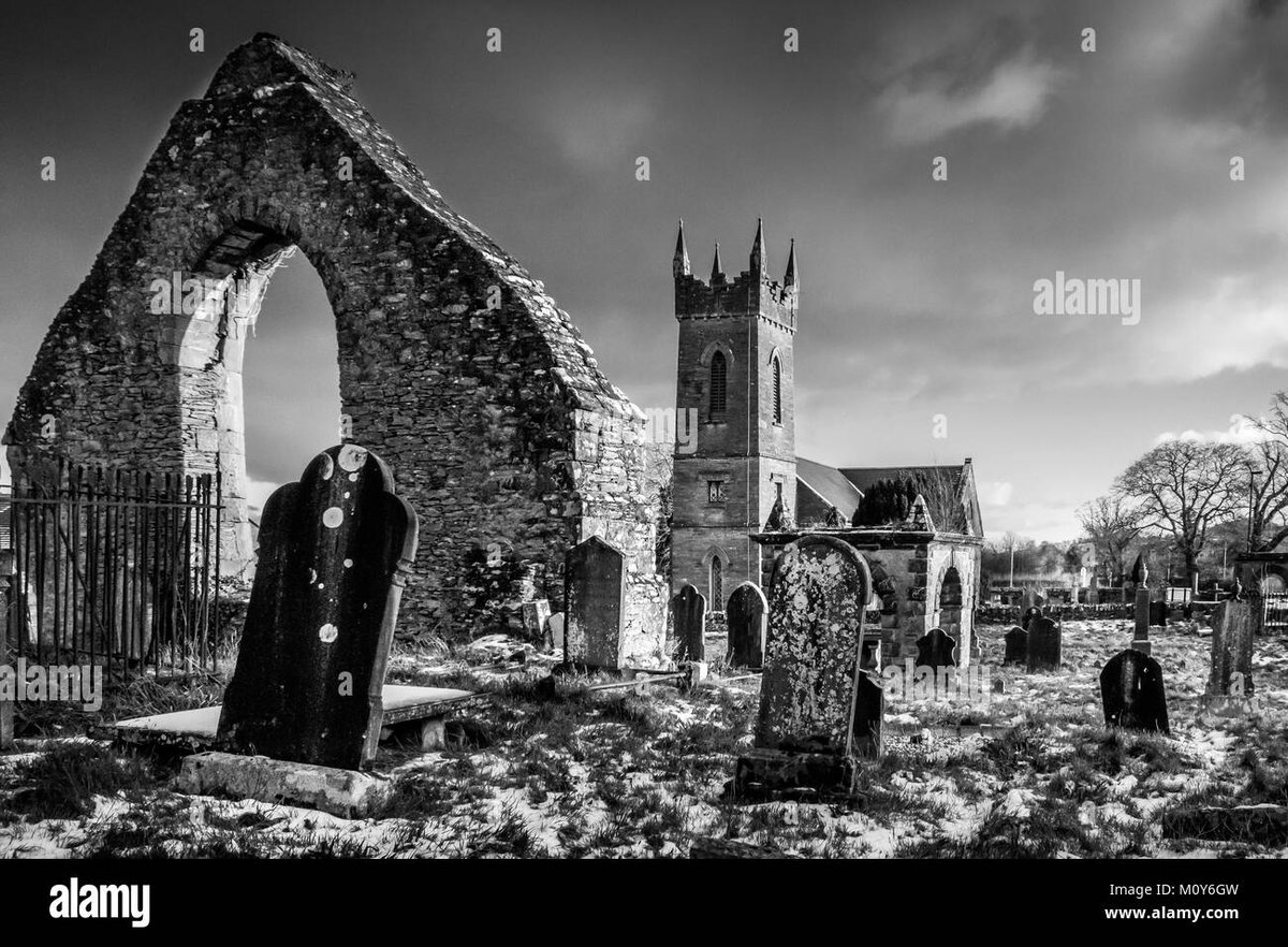 How Old Is Megumi Fushiguro In Spy x Family?